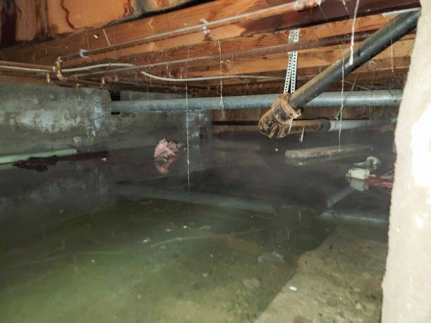 Best Local water damage restoration  in Lowell, IN