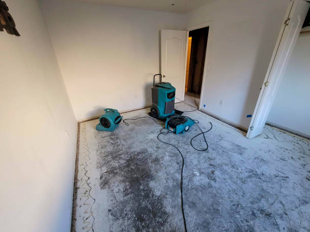 Reliable Lowell, IN Water damage restoration Solutions