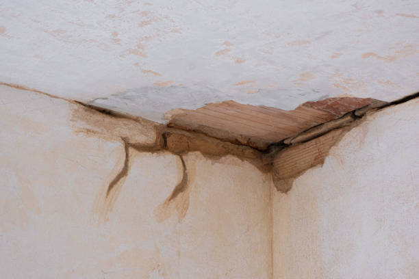  Lowell, IN Water damage restoration Pros